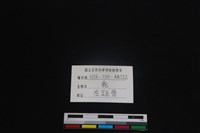 梅花鹿骨藏品圖，第3張