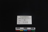 梅花鹿骨藏品圖，第3張