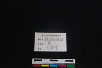 梅花鹿骨藏品圖，第3張