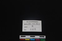 梅花鹿骨藏品圖，第3張