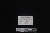 梅花鹿骨藏品圖，第3張