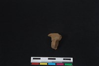 梅花鹿骨藏品圖，第1張