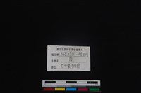 梅花鹿骨藏品圖，第3張