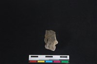 梅花鹿骨藏品圖，第2張