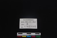 梅花鹿骨藏品圖，第4張