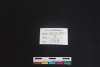 梅花鹿骨藏品圖，第3張