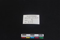 梅花鹿骨藏品圖，第3張