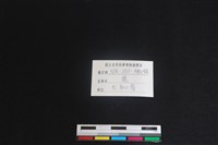 梅花鹿骨藏品圖，第3張