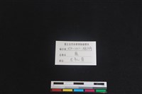 梅花鹿骨藏品圖，第3張
