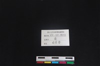梅花鹿骨藏品圖，第3張