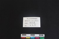 梅花鹿骨藏品圖，第3張