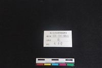 梅花鹿骨藏品圖，第3張