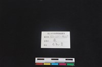 梅花鹿骨藏品圖，第3張