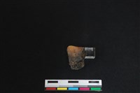 梅花鹿骨藏品圖，第1張