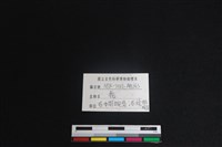 梅花鹿骨藏品圖，第3張