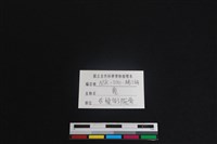 梅花鹿骨藏品圖，第3張