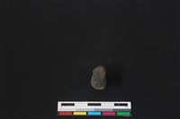 梅花鹿骨藏品圖，第1張