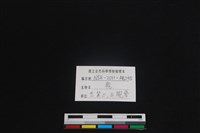 梅花鹿骨藏品圖，第3張