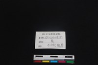 梅花鹿骨藏品圖，第3張
