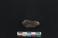 梅花鹿骨藏品圖，第1張