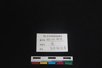 梅花鹿骨藏品圖，第3張