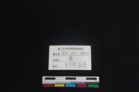 梅花鹿骨藏品圖，第3張