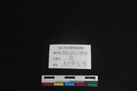梅花鹿骨藏品圖，第3張
