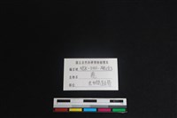 梅花鹿骨藏品圖，第3張