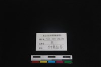 梅花鹿骨藏品圖，第3張