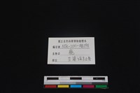 梅花鹿骨藏品圖，第3張