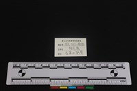 梅花鹿骨藏品圖，第3張