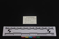 梅花鹿骨藏品圖，第3張