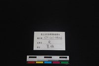 梅花鹿骨藏品圖，第3張