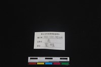 梅花鹿骨藏品圖，第4張