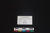 梅花鹿骨藏品圖，第3張