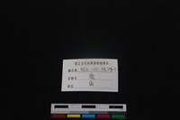 梅花鹿骨藏品圖，第3張