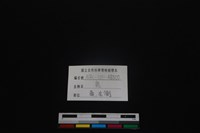 梅花鹿骨藏品圖，第3張