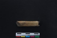 梅花鹿骨藏品圖，第1張