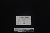 梅花鹿骨藏品圖，第3張