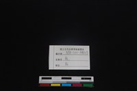 梅花鹿骨藏品圖，第3張