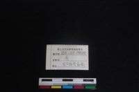 梅花鹿骨藏品圖，第3張