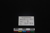 梅花鹿骨藏品圖，第4張