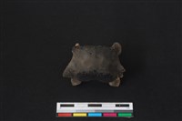 梅花鹿骨藏品圖，第2張