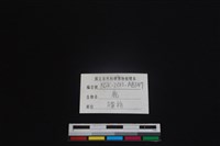 梅花鹿骨藏品圖，第4張