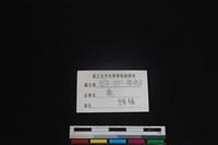 梅花鹿骨藏品圖，第4張