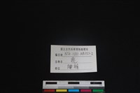 梅花鹿骨藏品圖，第3張