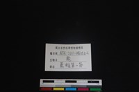 梅花鹿骨藏品圖，第4張