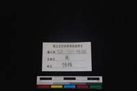 梅花鹿骨藏品圖，第3張