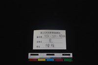 梅花鹿骨藏品圖，第3張