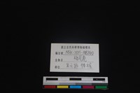 梅花鹿骨藏品圖，第3張
